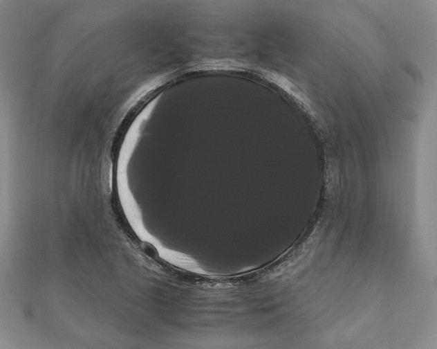 X0000111121221200907281022