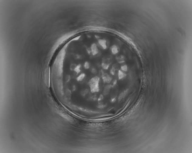 X0000111121223200907281022