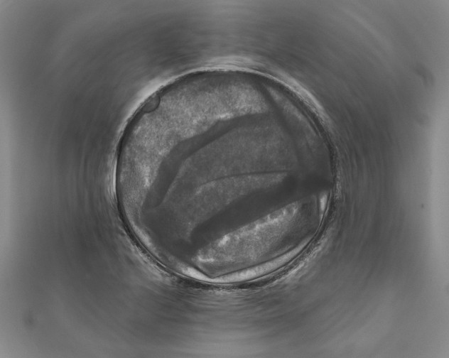 X0000111121224200907281022