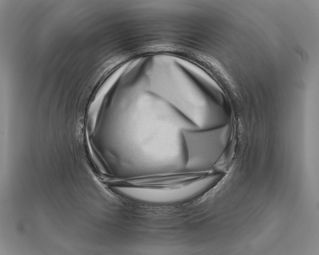 X0000111121225200907281022