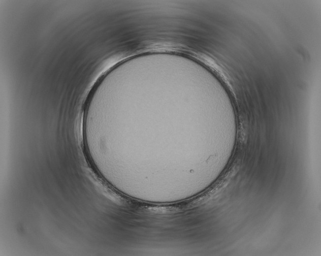 X0000111121227200907281022