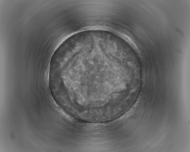 X0000111121228200907281022