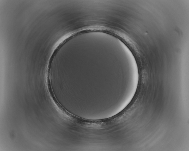X0000111121229200907281022