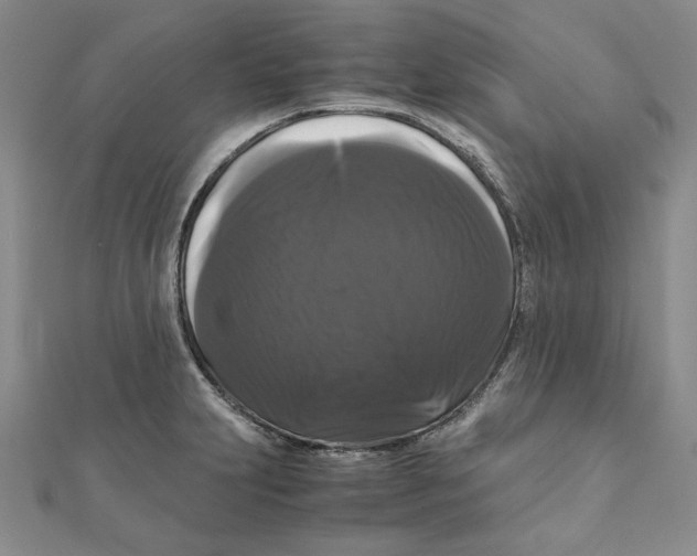 X0000111121231200907281022