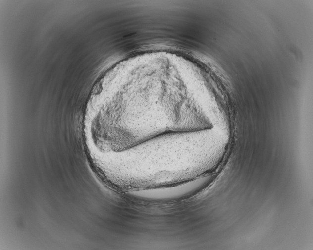 X0000111121233200907281022