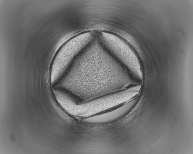 X0000111121234200907281022