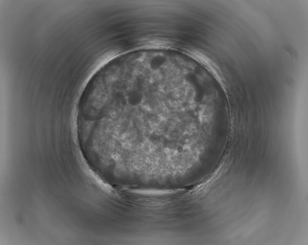 X0000111121235200907281022