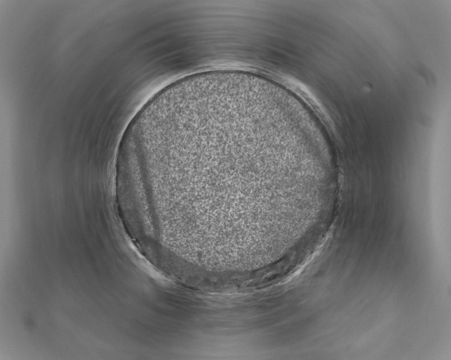 X0000111121236200907281022