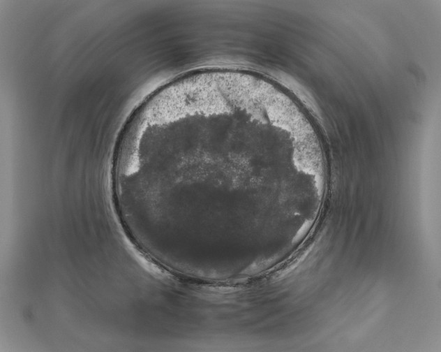 X0000111121237200907281022
