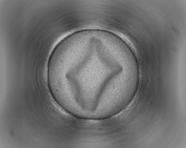 X0000111121238200907281022