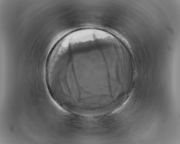 X0000111121239200907281022