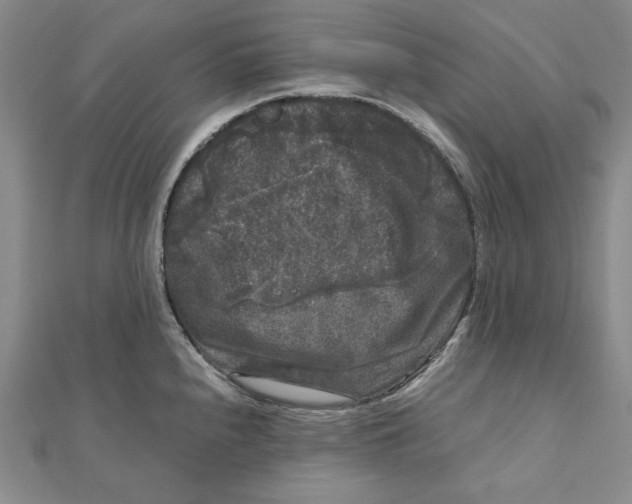 X0000111121240200907281022