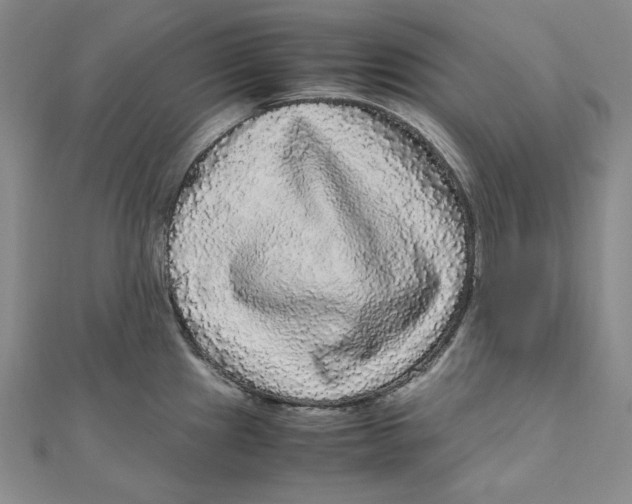 X0000111121241200907281022