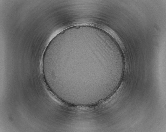 X0000111121242200907281022