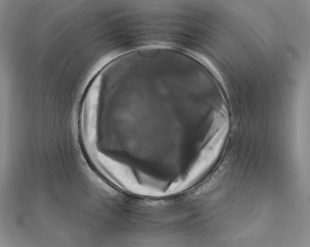 X0000111121243200907281022