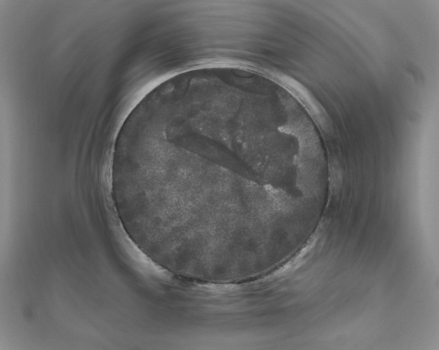 X0000111121244200907281022