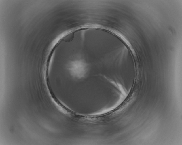 X0000111121245200907281022
