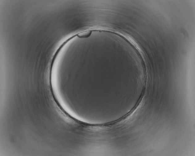 X0000111121246200907281022