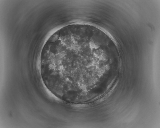 X0000111121247200907281022