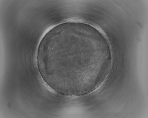 X0000111121248200907281022