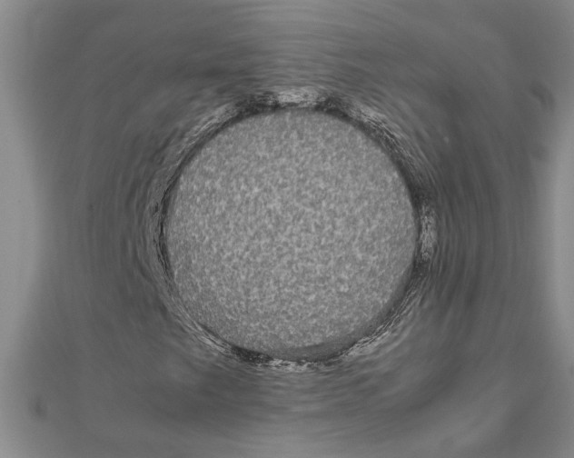 X0000111121249200907281022