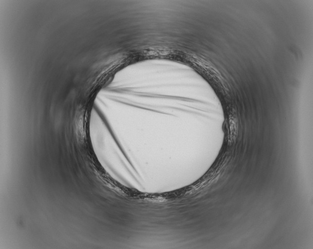 X0000111121250200907281022