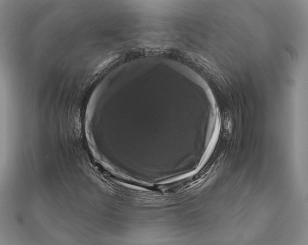 X0000111121252200907281022
