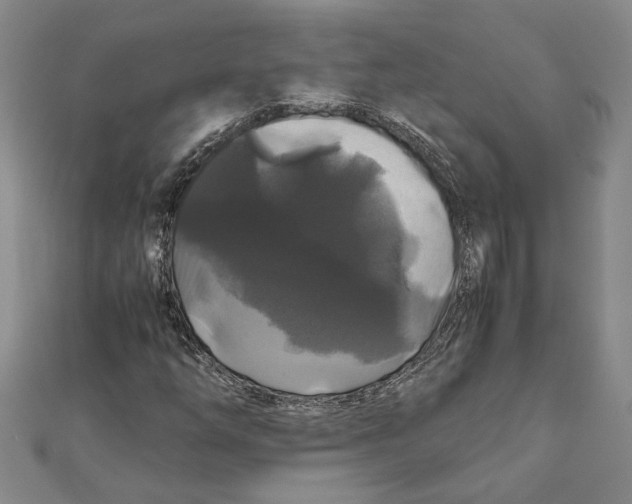 X0000111121254200907281022