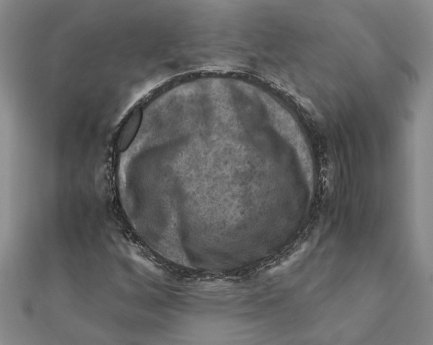 X0000111121256200907281022