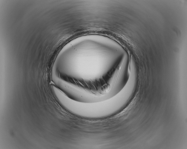 X0000111121257200907281021