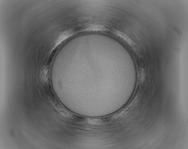 X0000111121258200907281021