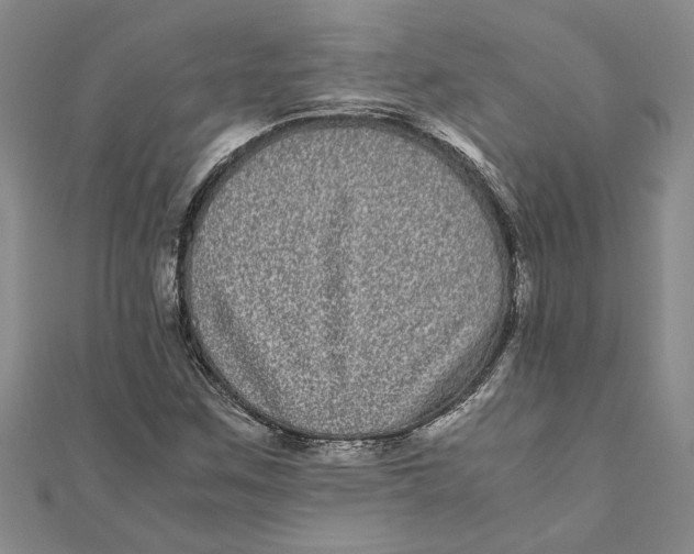 X0000111121259200907281021