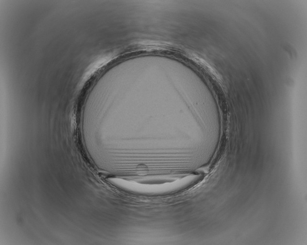 X0000111121261200907281021