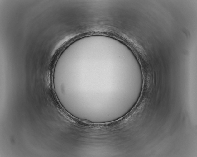 X0000111121262200907281021