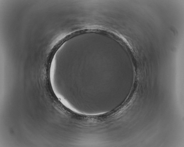 X0000111121263200907281021