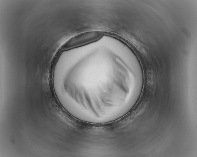 X0000111121264200907281021