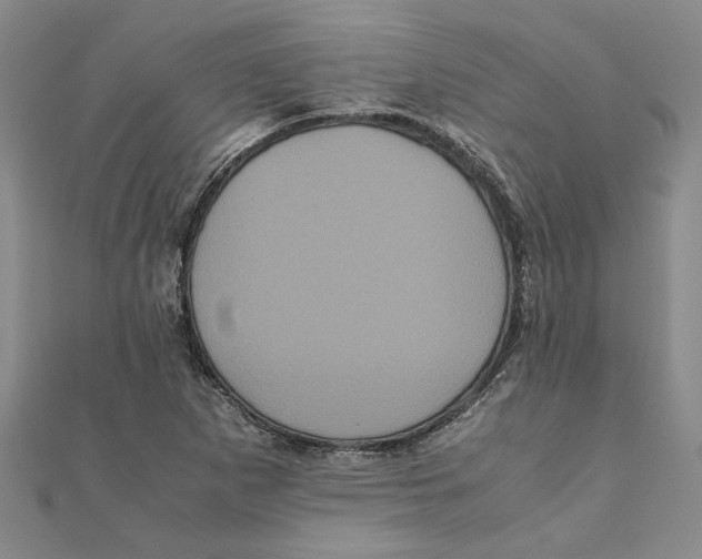 X0000111121265200907281021