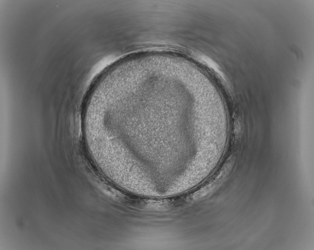 X0000111121267200907281021