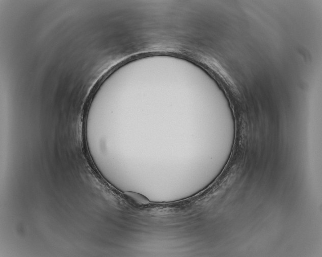 X0000111121268200907281021
