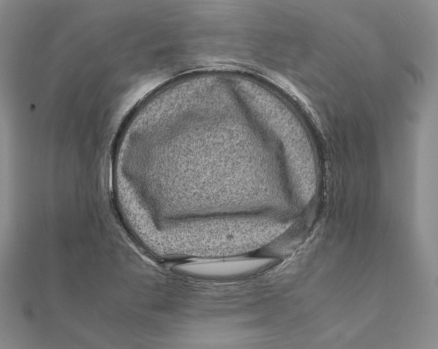 X0000111121269200907281021