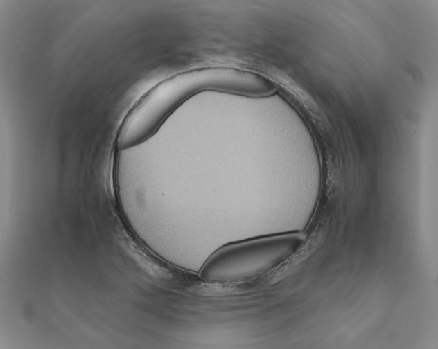 X0000111121272200907281021