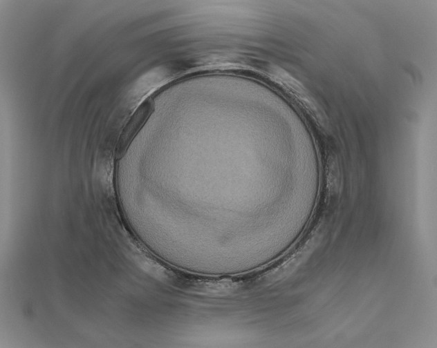 X0000111121273200907281021
