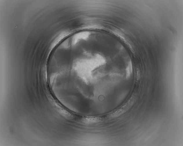 X0000111121274200907281021