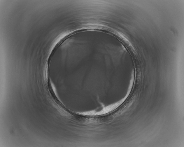 X0000111121275200907281021