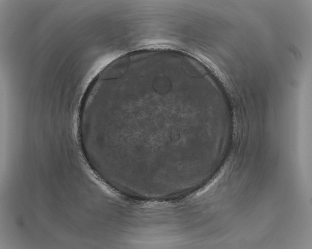 X0000111121277200907281021