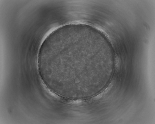 X0000111121278200907281021