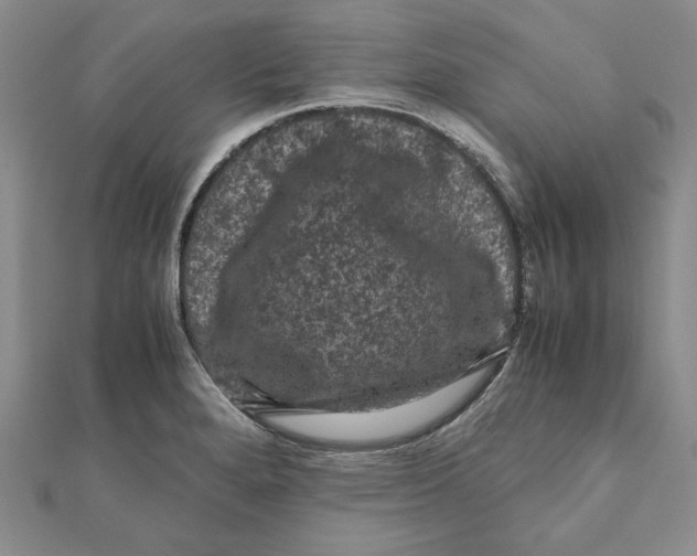 X0000111121280200907281021