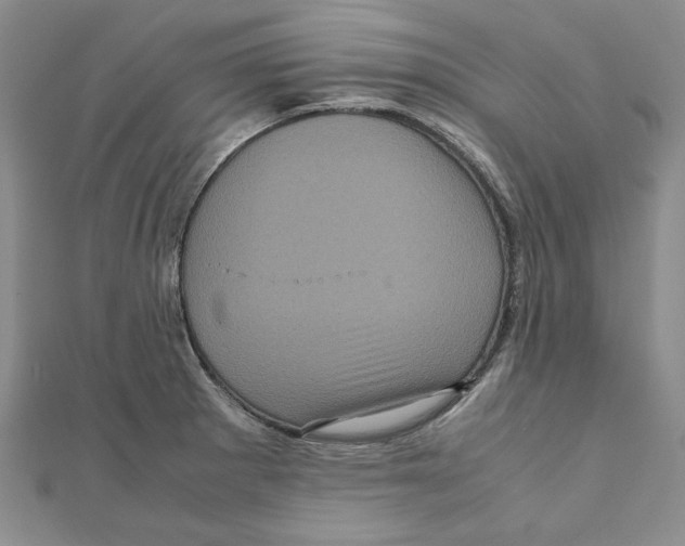 X0000111121281200907281021