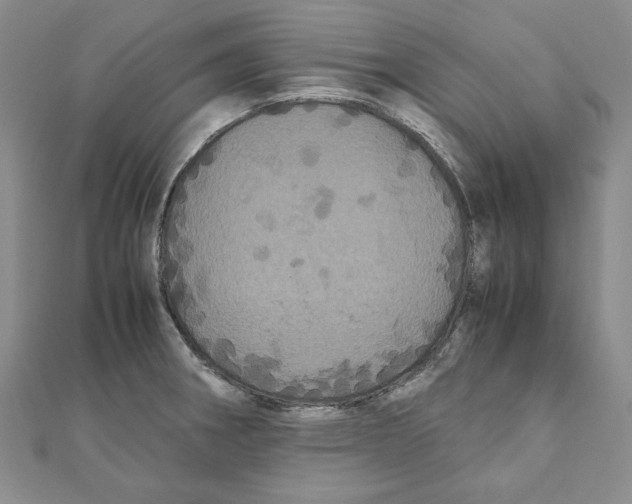 X0000111121282200907281021