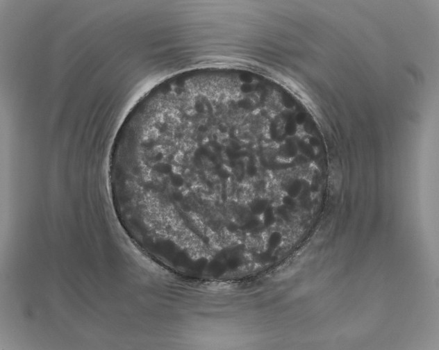 X0000111121283200907281021